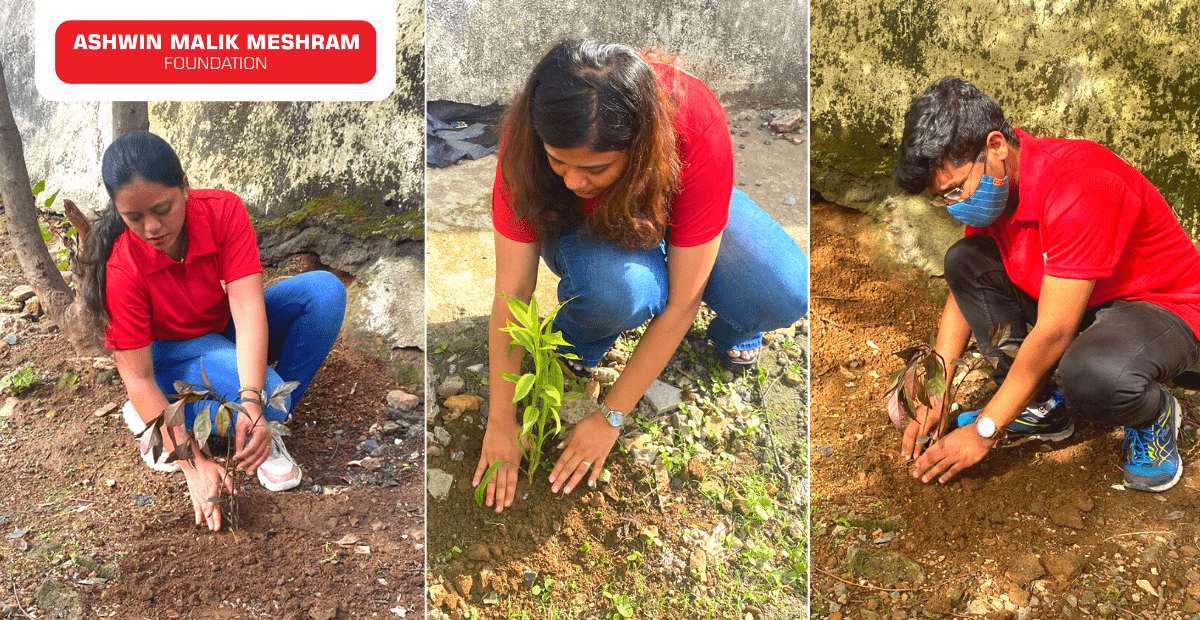 Tree Plantation Drive Conducted at Andheri by AMM Foundation.